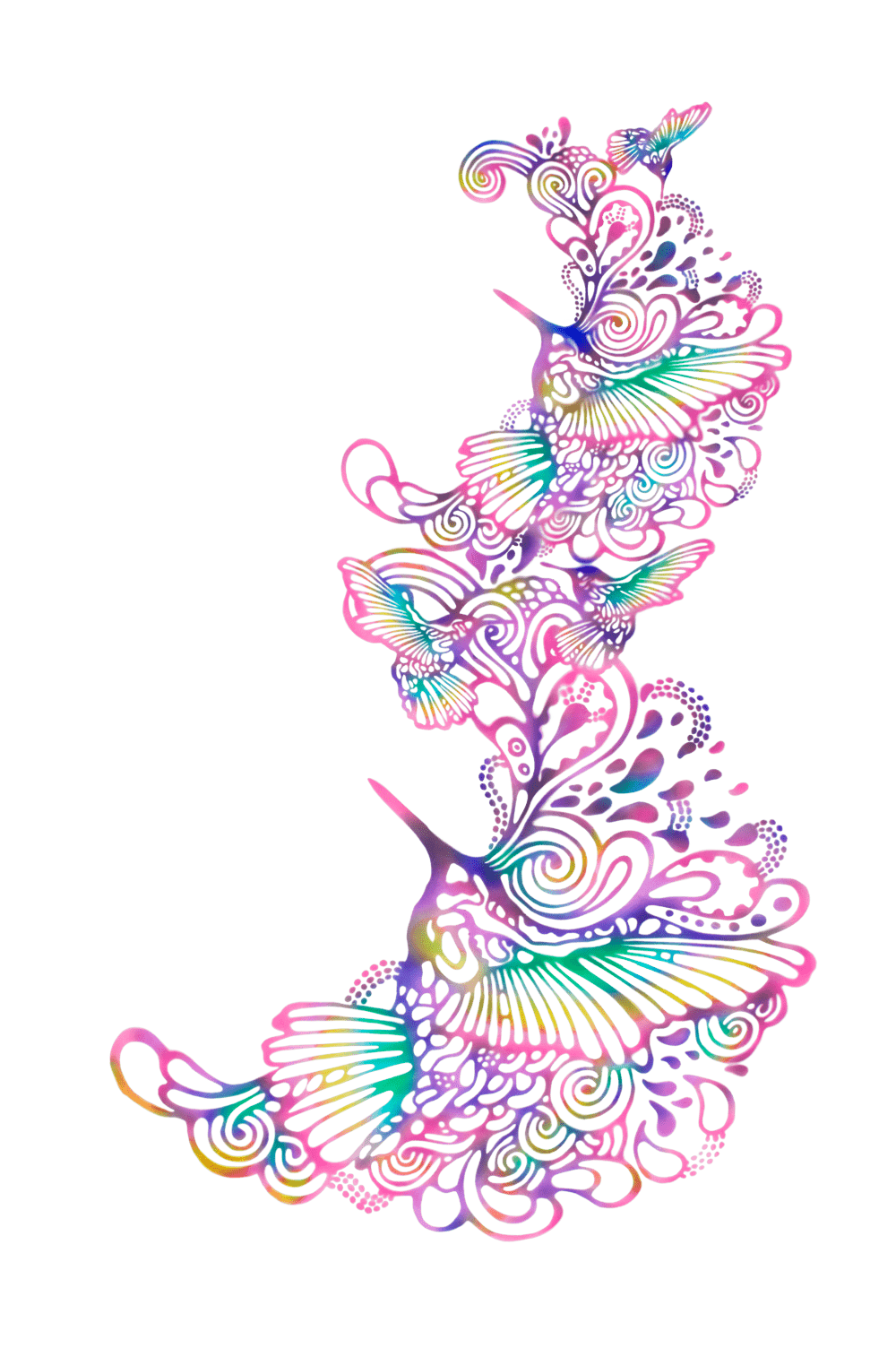 ハチドリ