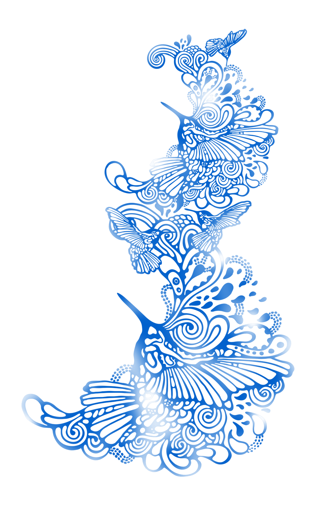 ハチドリ